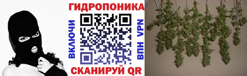 hydra зеркало  Тимашёвск  Шишки марихуана планчик  наркотики 